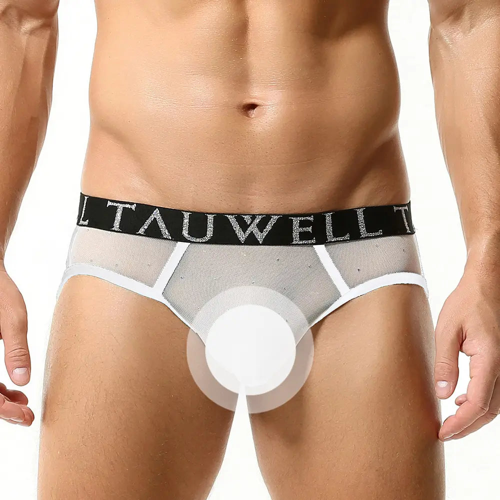Tauwell Men's Sexy Mesh String Briefs - Stylish & Comfortable Men's Underwear with Sheer Mesh Design