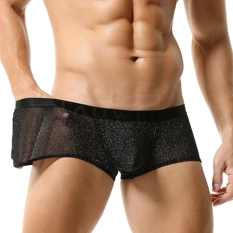Tauwell Men's Low Rise Shiny Boxer Briefs - Breathable, Stretchable, and Skin-Friendly