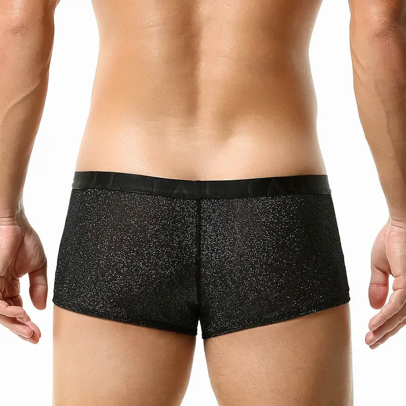 Tauwell Men's Low Rise Shiny Boxer Briefs - Breathable, Stretchable, and Skin-Friendly