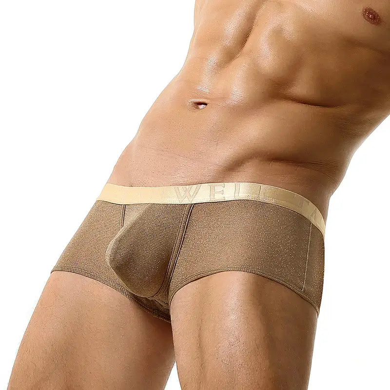 Tauwell Men's Low Rise Shiny Boxer Briefs - Breathable, Stretchable, and Skin-Friendly
