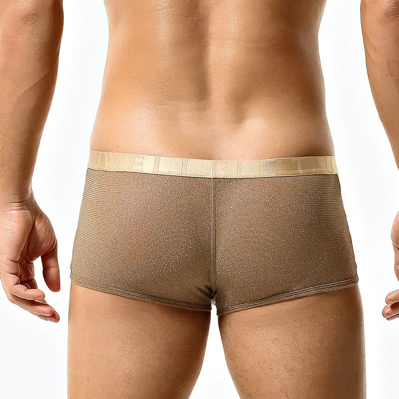 Tauwell Men's Low Rise Shiny Boxer Briefs - Breathable, Stretchable, and Skin-Friendly