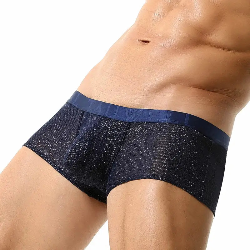 Tauwell Men's Low Rise Shiny Boxer Briefs - Breathable, Stretchable, and Skin-Friendly