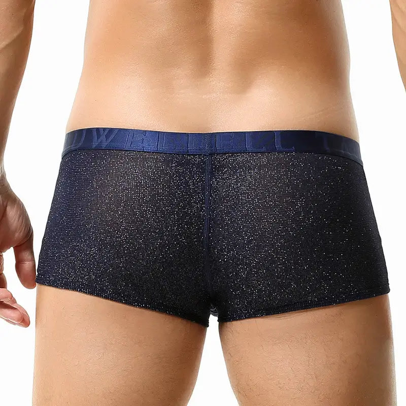 Tauwell Men's Low Rise Shiny Boxer Briefs - Breathable, Stretchable, and Skin-Friendly
