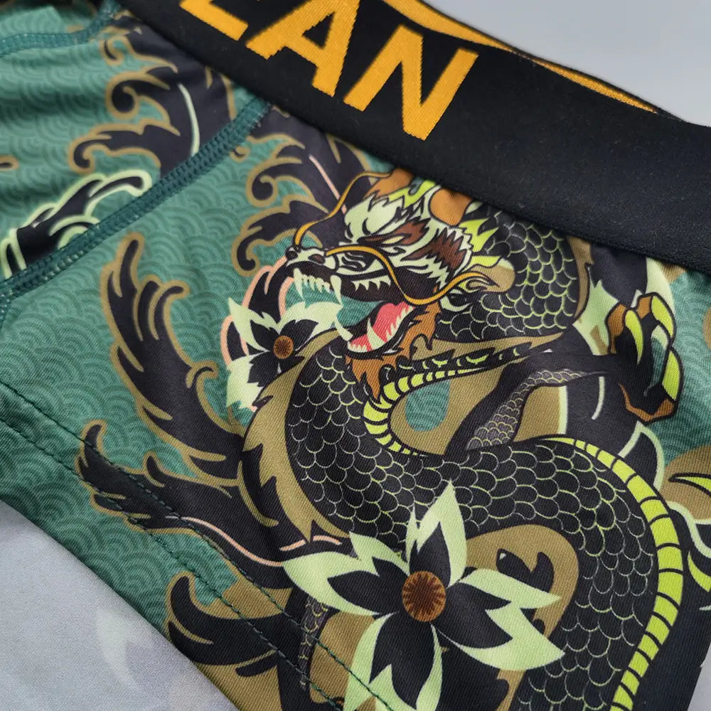 Seobean Men's Dragon Print Boxer Briefs - Low-Rise Pouch Underwear 240204