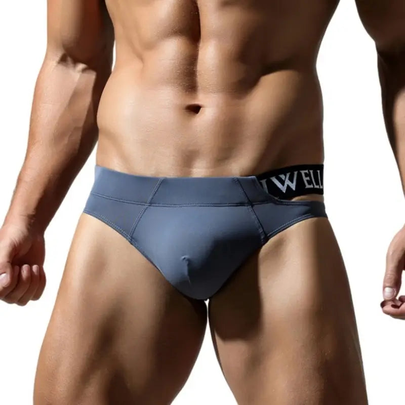 Tauwell Sexy Briefs for Men – Low Rise, Soft Nylon Spandex 24112