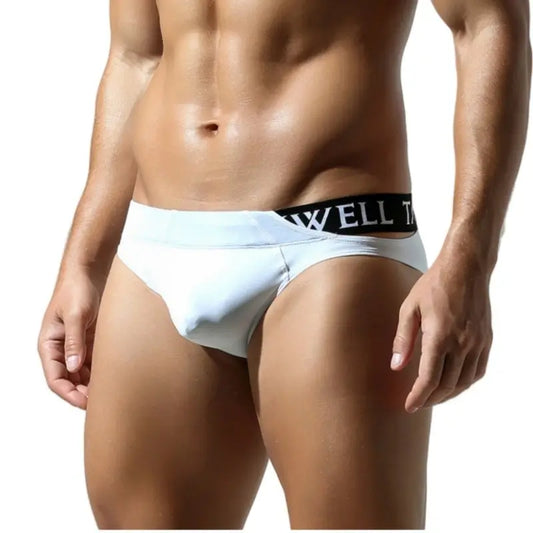 Tauwell Sexy Briefs for Men – Low Rise, Soft Nylon Spandex 24112