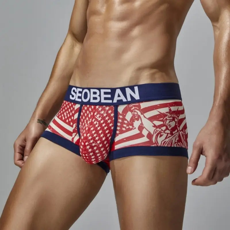 Seobean Patriotic Men's Boxer Briefs - Lady Liberty & Flag Print 250206