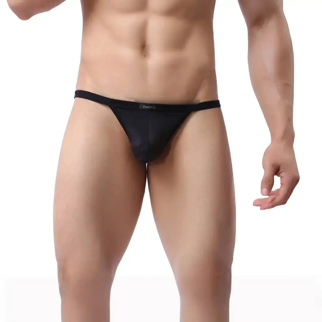 DomiGe Seide Herren Low-Rise Tanga Männlich T-Back Schlanke T-Back für Mann