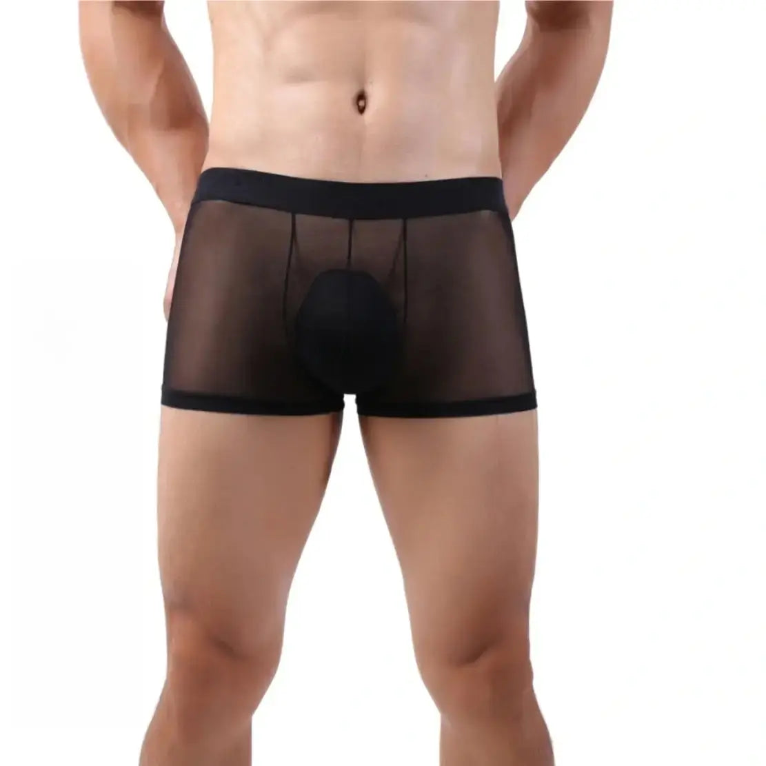 DomiGe Men's Mesh Boxers Sexy See-Through Underwear