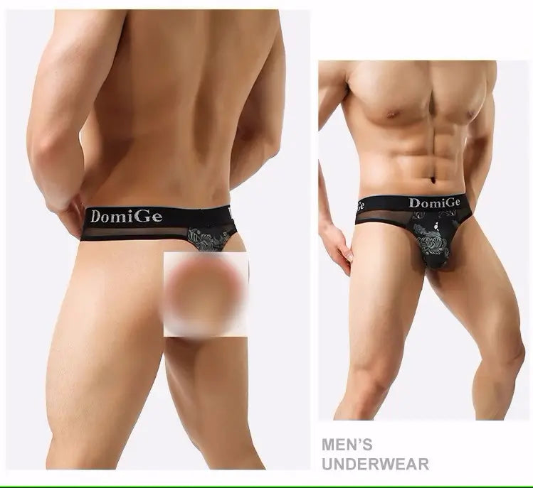 Ropa interior de malla transparente para hombre DomiGe: negro, tiro bajo, sexy y elegante