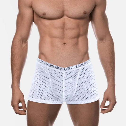 Adannu Men's Breathable Mesh V-Style Waist Boxer Shorts OR6300