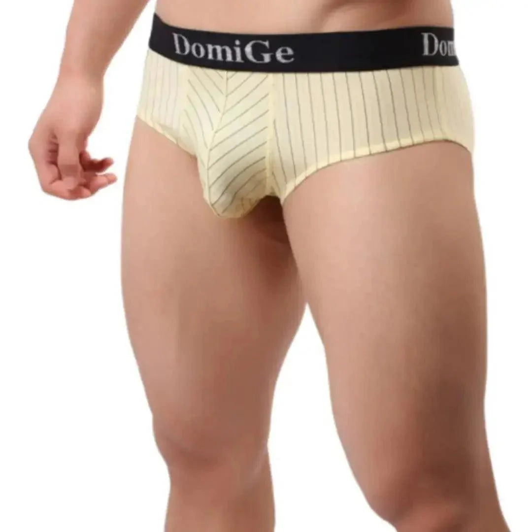 DomiGe Men's Elastane Ice Silk Briefs - Premium Supportive Comfort Underwear