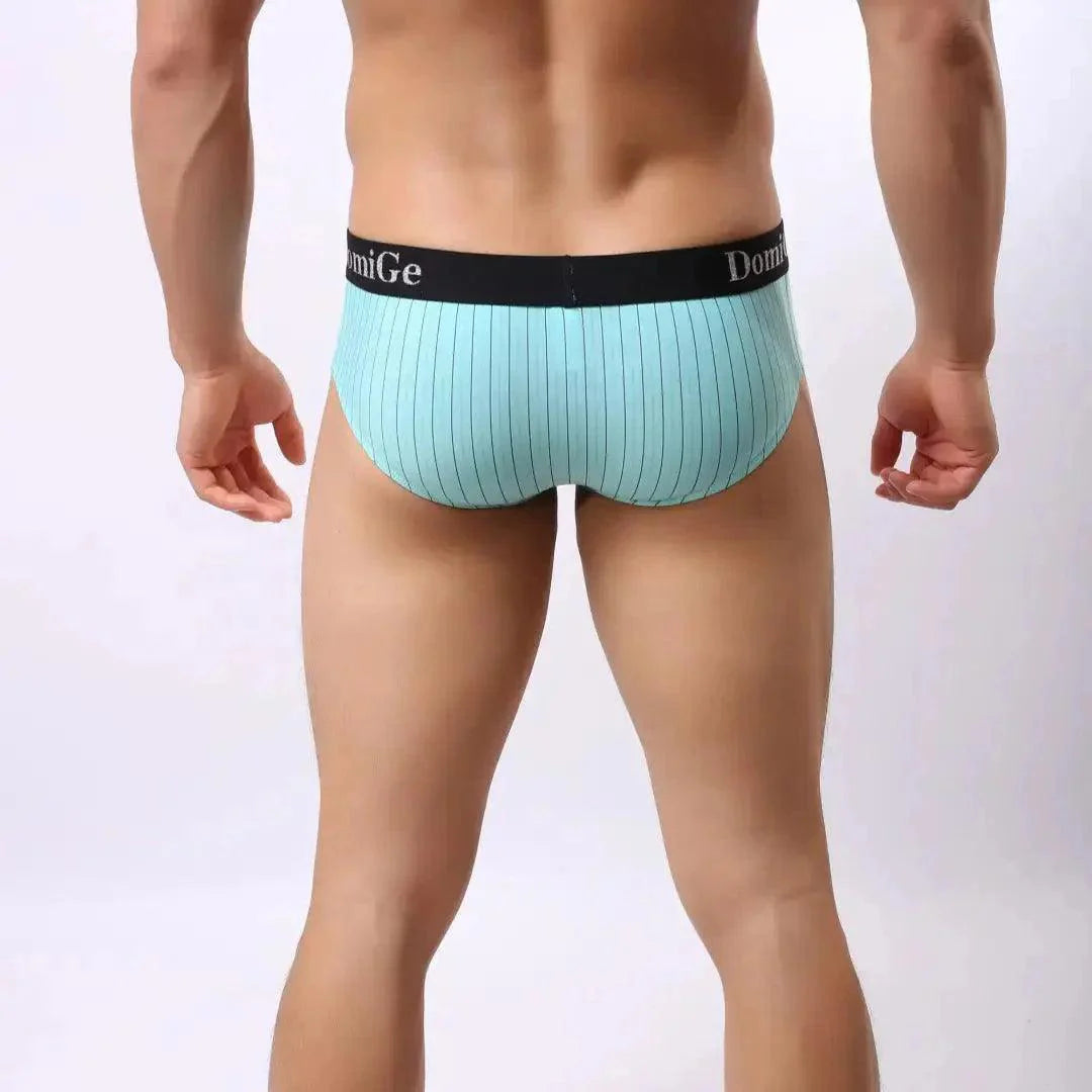 DomiGe Men's Elastane Ice Silk Briefs - Premium Supportive Comfort Underwear
