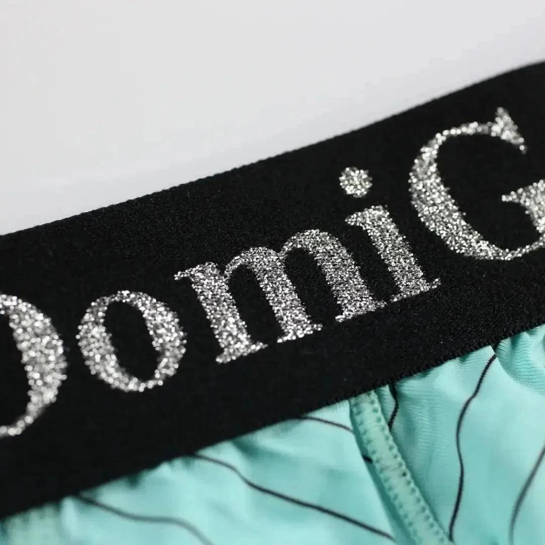 DomiGe Men's Elastane Ice Silk Briefs - Premium Supportive Comfort Underwear