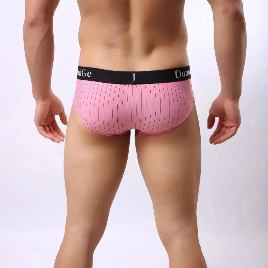DomiGe Men's Elastane Ice Silk Briefs - Premium Supportive Comfort Underwear