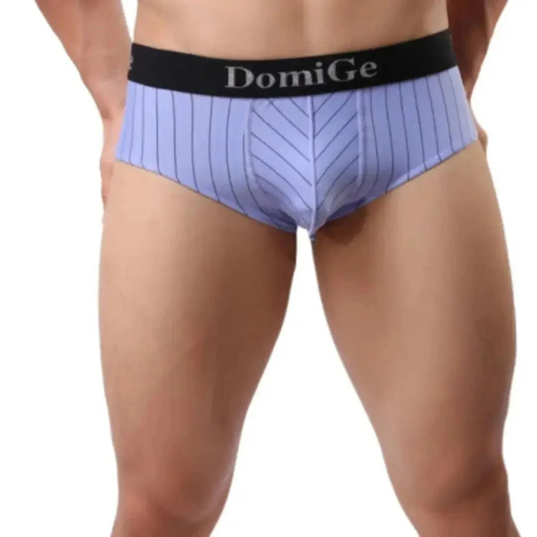 DomiGe Men's Elastane Ice Silk Briefs - Premium Supportive Comfort Underwear