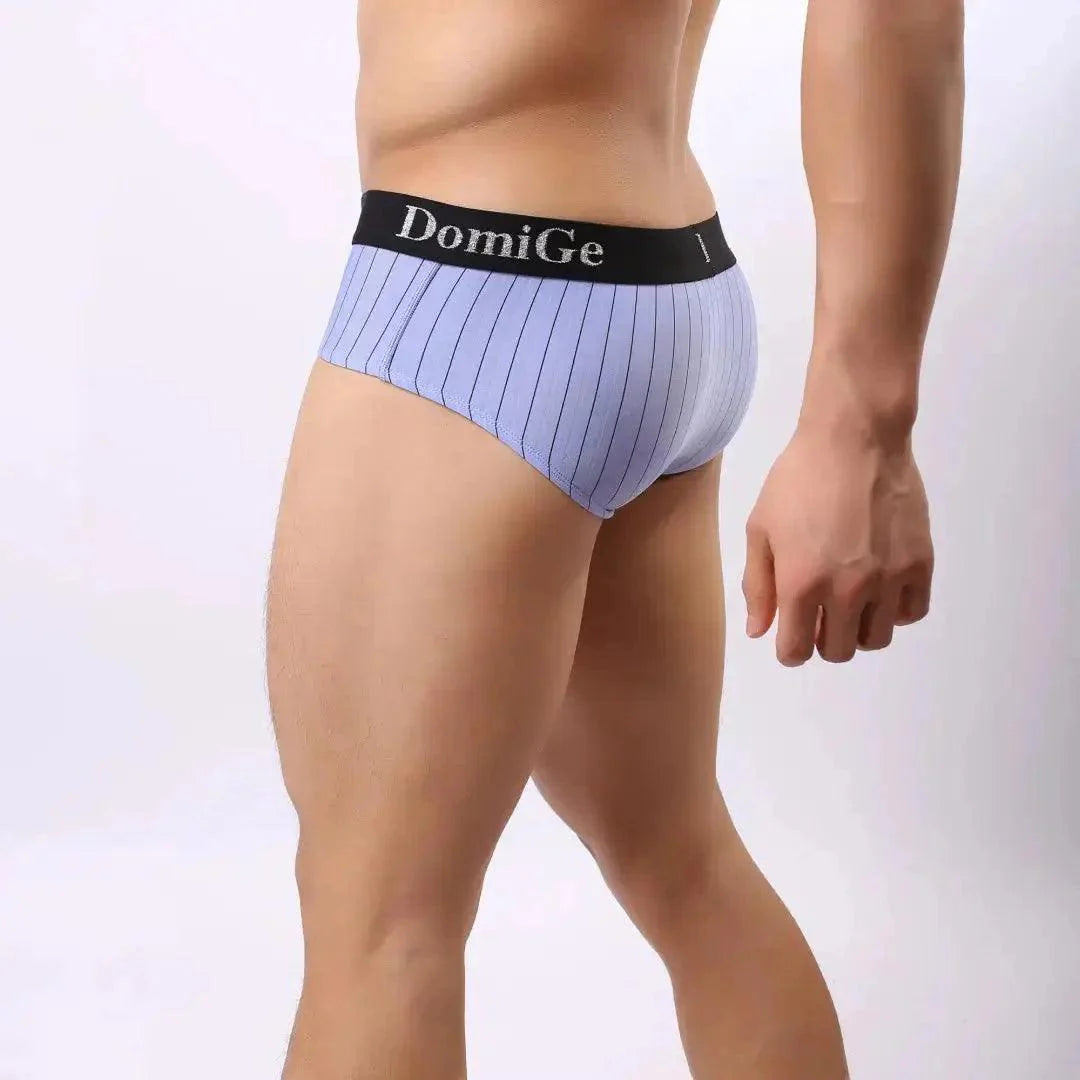 DomiGe Men's Elastane Ice Silk Briefs - Premium Supportive Comfort Underwear