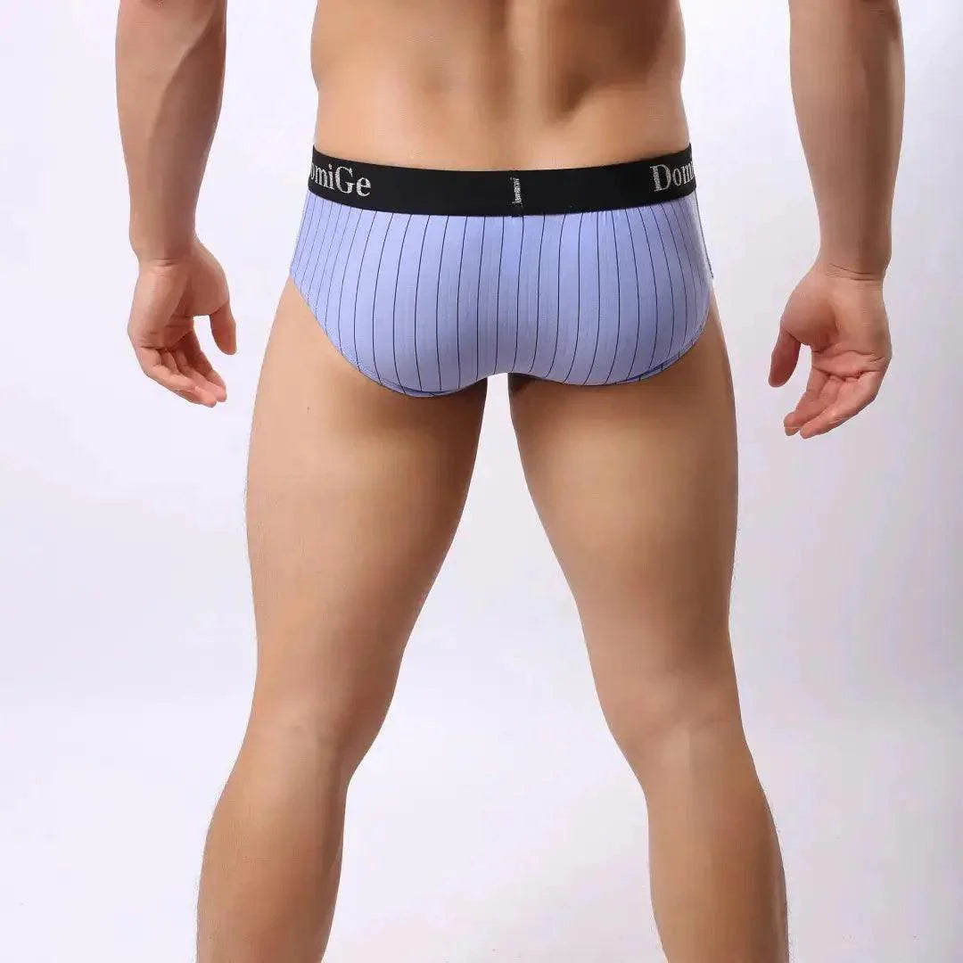 DomiGe Men's Elastane Ice Silk Briefs - Premium Supportive Comfort Underwear