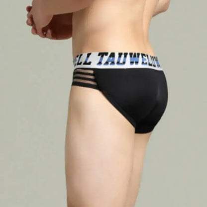 Tauwell Men's Low Rise Briefs Sexy Bikini Underwear 23101