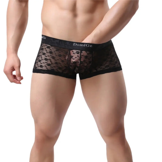 DomiGe Ropa interior masculina de malla transparente con cintura para hombre