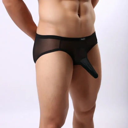 DomiGe Men's Mesh Cock Sock Brief 5727