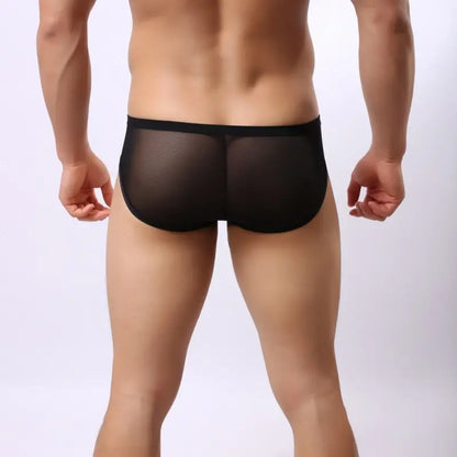 DomiGe Men's Mesh Cock Sock Brief 5727