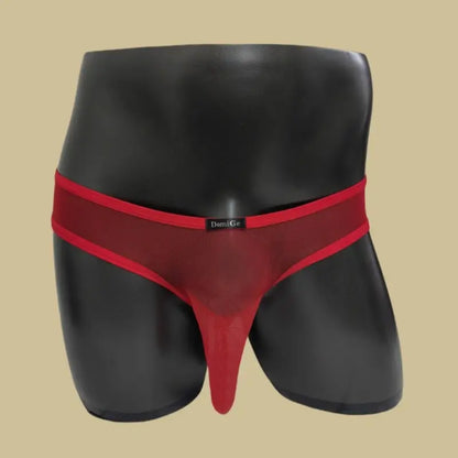 DomiGe Men's Mesh Cock Sock Brief 5727