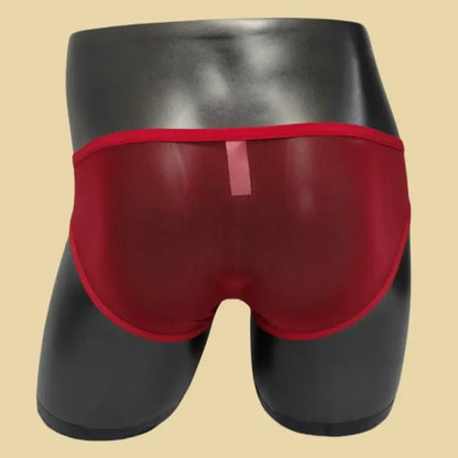 DomiGe Men's Mesh Cock Sock Brief 5727