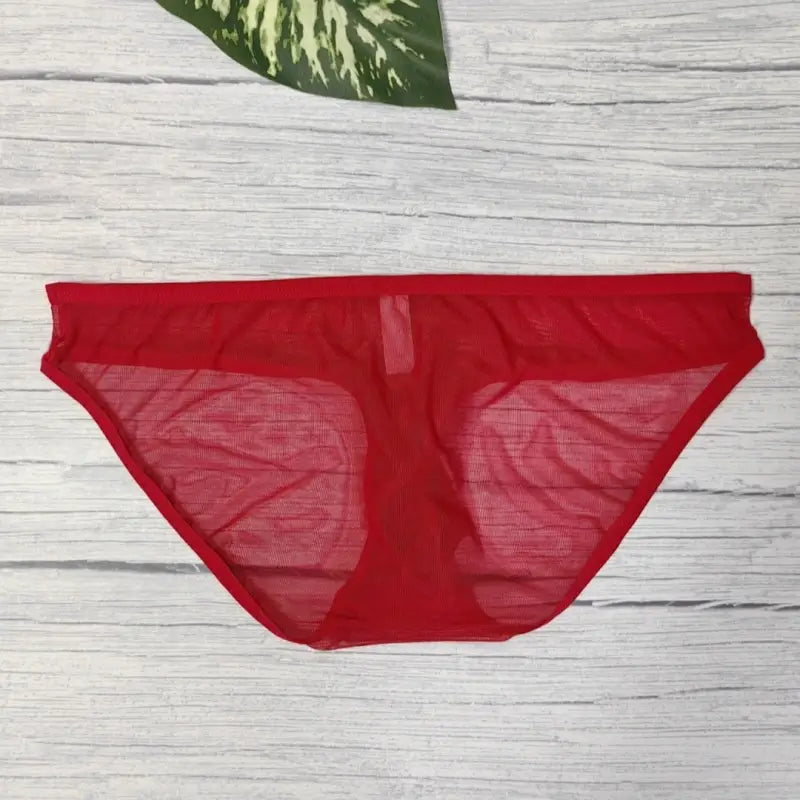 DomiGe Men's Mesh Cock Sock Brief 5727