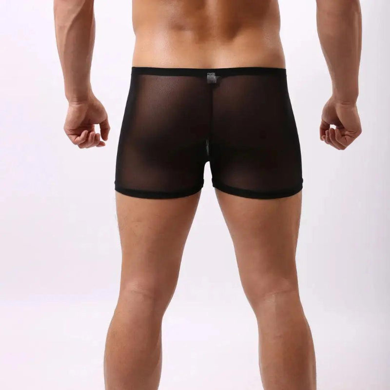 DomiGe Male Underwear Transparent Boxers Sheer Men Sexy Boxer Briefs Black Back