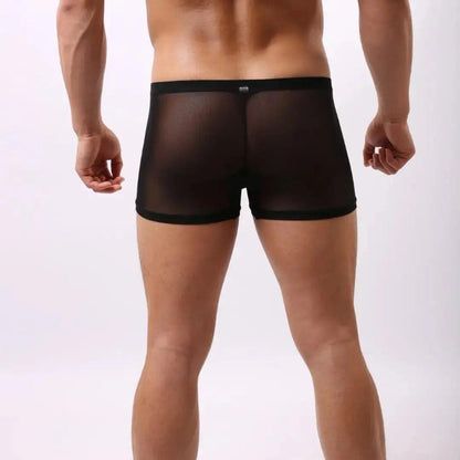 DomiGe Men's Boxer Briefs Black Blue – Sheer Mesh Outer Back View