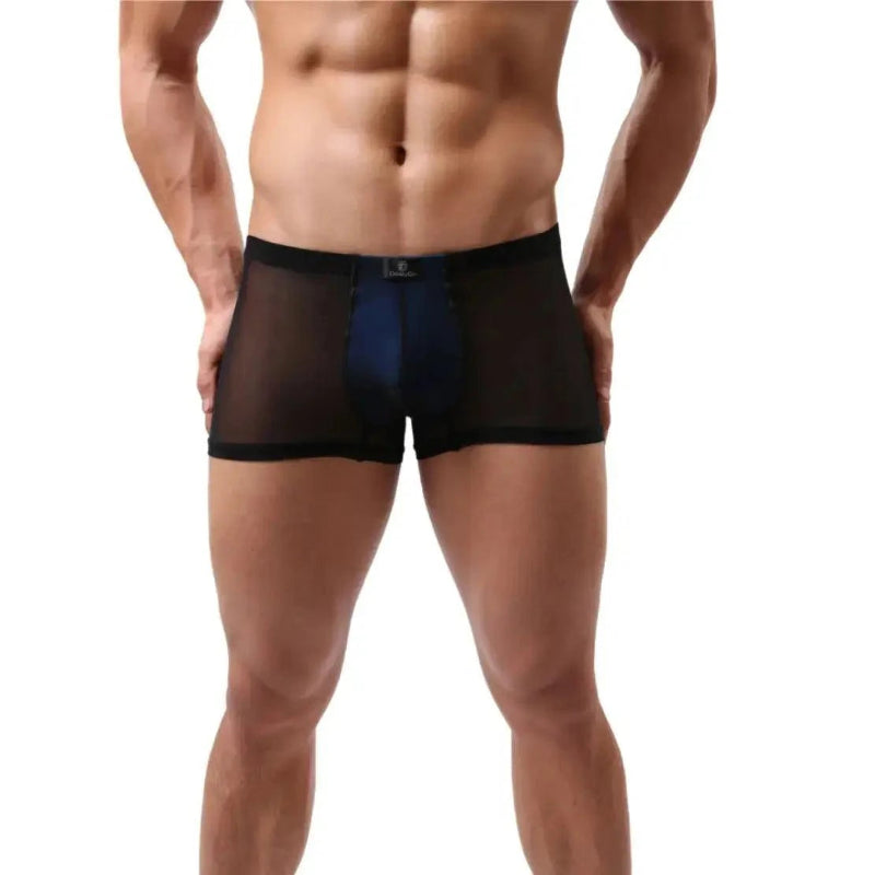 DomiGe Men's Boxer Briefs Black Blue – Sheer Mesh Outer Front View