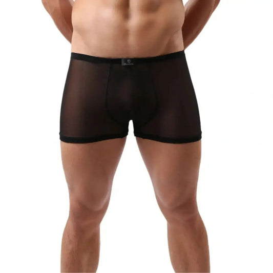 DomiGe Sheer Men's Boxer White – Transparent Nylon Mesh Front View