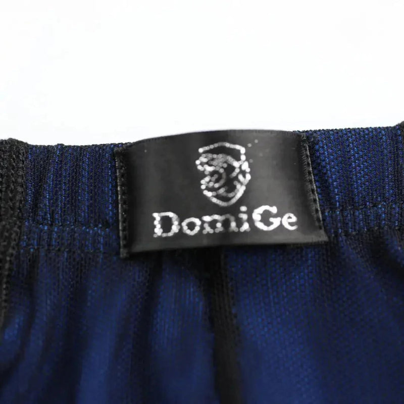 DomiGe Sheer Mesh Boxer Briefs Worn – Blue Lining Dual Layer