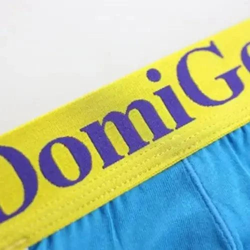 DomiGe logo elastic waistband close-up — T-back thong blue