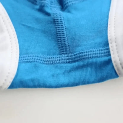 DomiGe low-rise modal briefs Blue 2