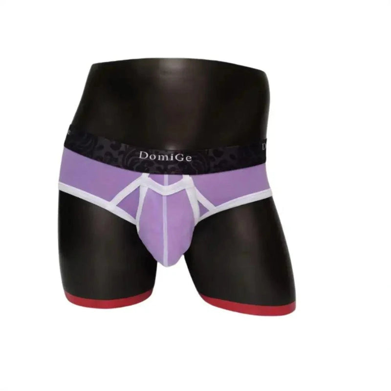DomiGe men's Purple cotton stretch briefs with dual pouch underwear Back Model 