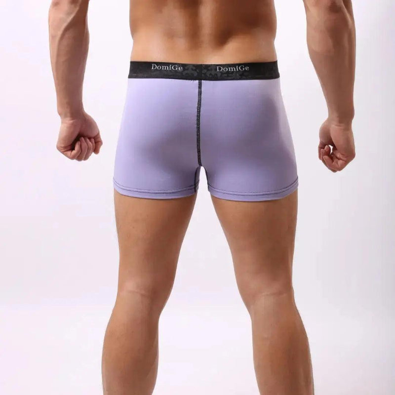 DomiGe men's cock socks boxer briefs with enhanced support pouch Purple Back