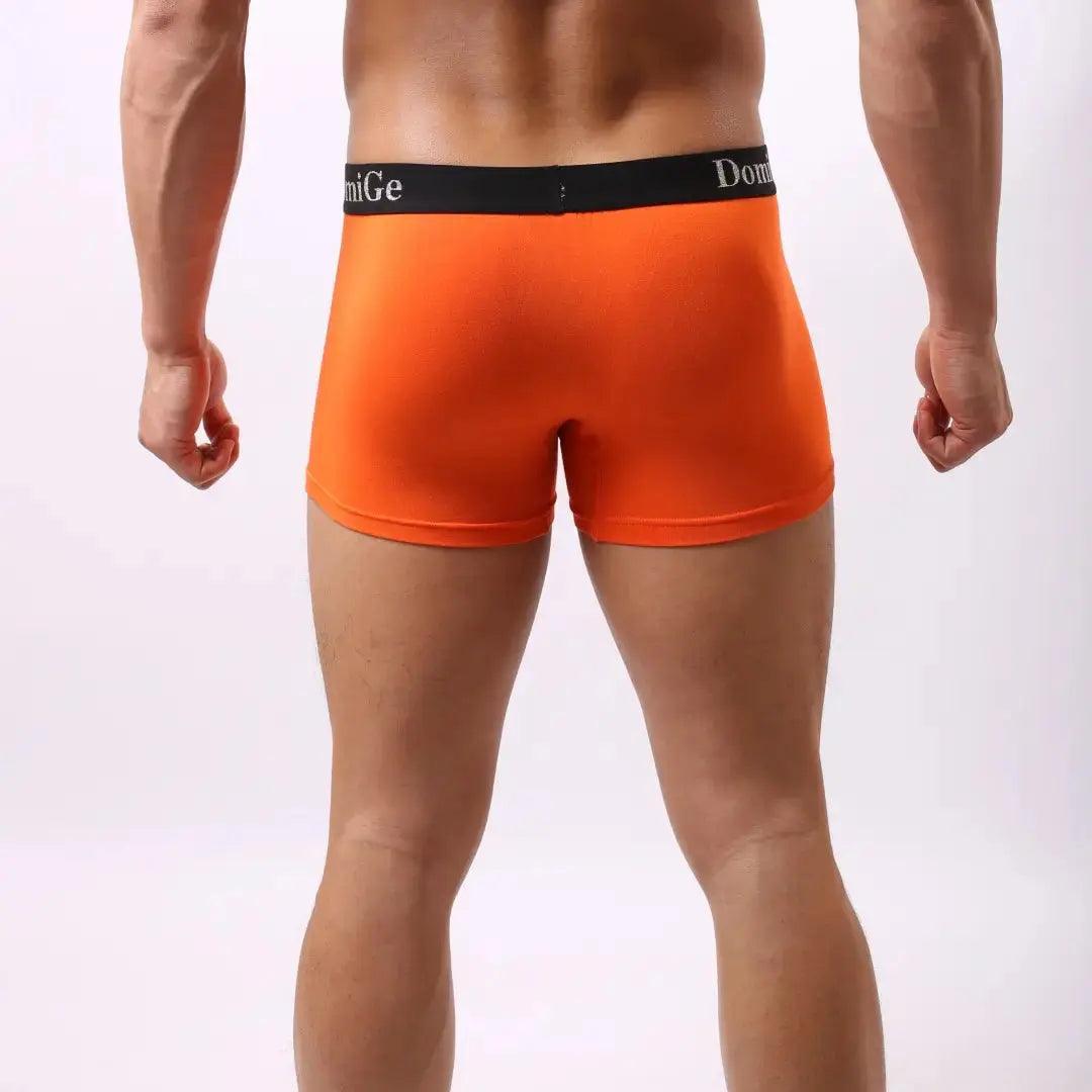 DomiGe modal boxer briefs front view — silver logo elastic waistband mid-waist Orange Back View