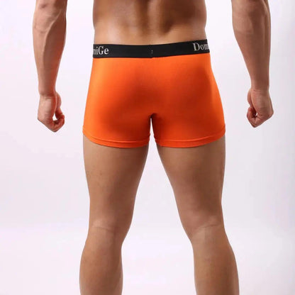 DomiGe modal boxer briefs front view — silver logo elastic waistband mid-waist Orange Back View