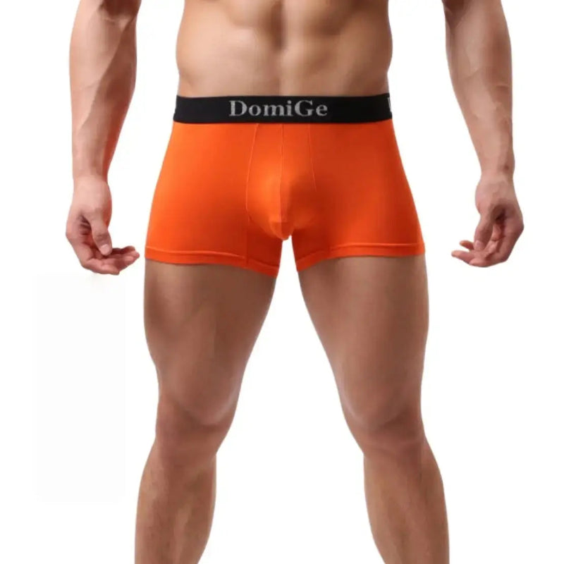 DomiGe modal boxer briefs front view — silver logo elastic waistband mid-waist Orange Front