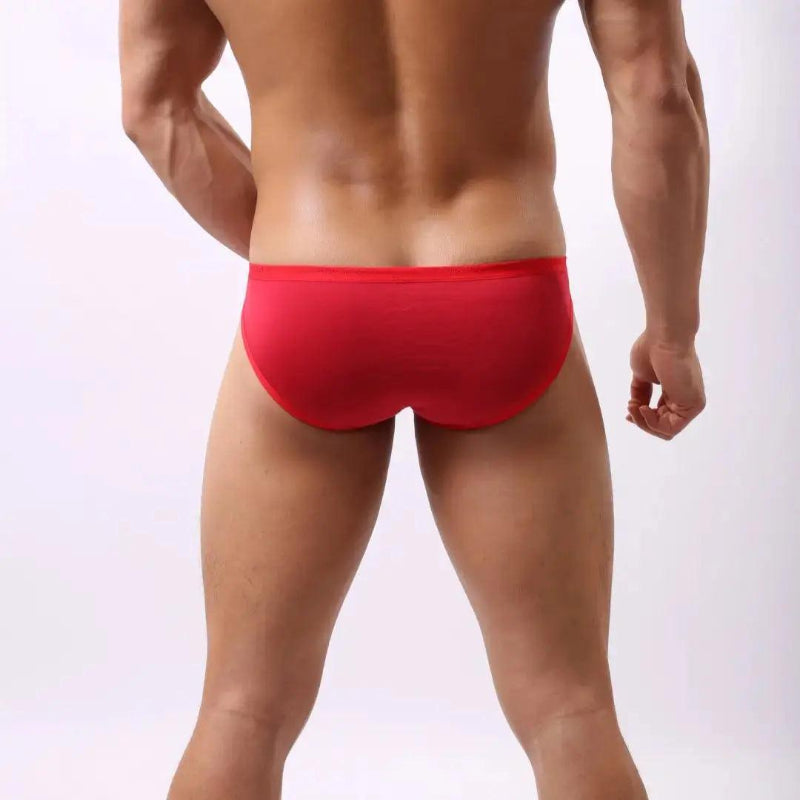 DomiGe modal low-rise briefs back view — embossed logo waistband contour pouch Red
