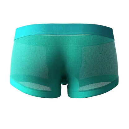 Men's Mesh Boxer Briefs - Breathable Semi-Transparent Underwear