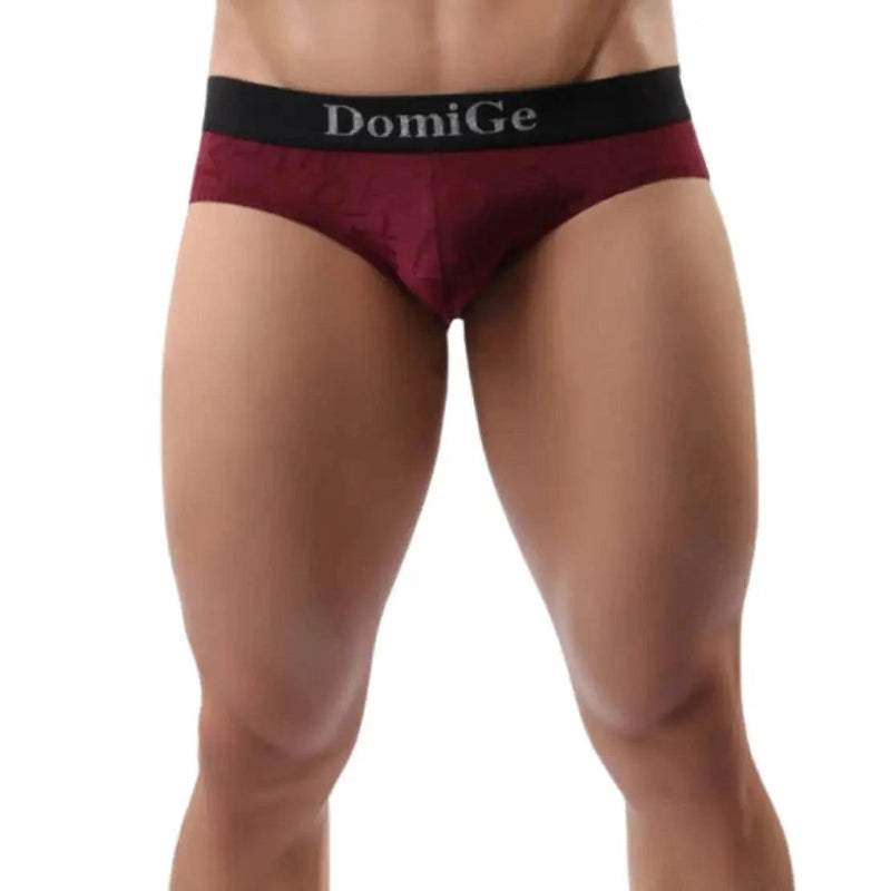 Model wearing DomiGe bamboo briefs mid-rise — signature waistband front angle Wine Red