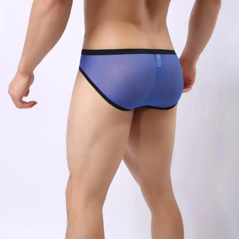 Model wearing DomiGe sheer briefs — logo waistband low-rise Back angle Blue