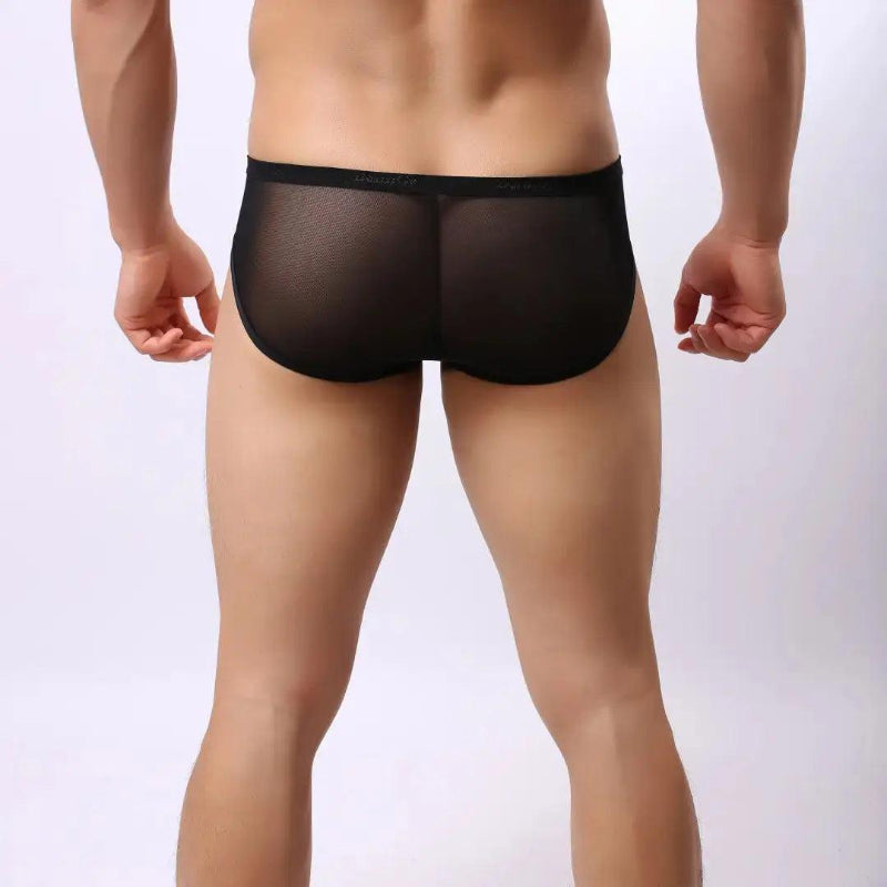 Semitransparent micro-mesh sheer fabric texture — lightweight breathable DomiGe briefs Black Back