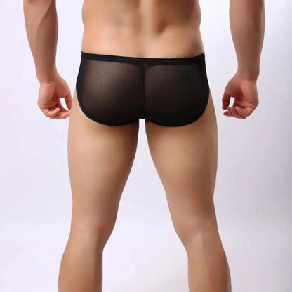 Semitransparent micro-mesh sheer fabric texture — lightweight breathable DomiGe briefs Black Back