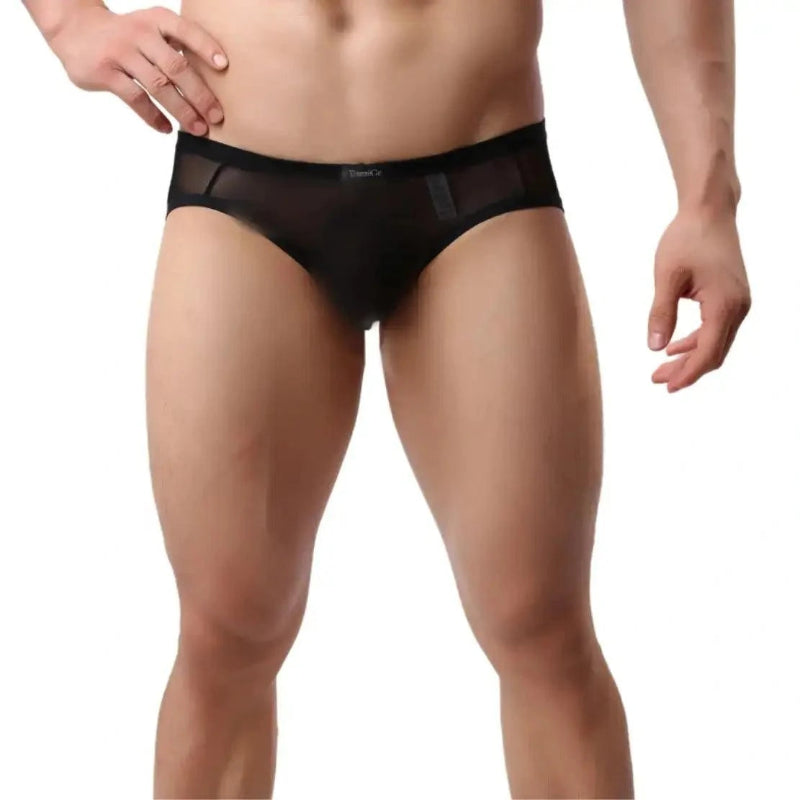 Semitransparent micro-mesh sheer fabric texture — lightweight breathable DomiGe briefs Black Front