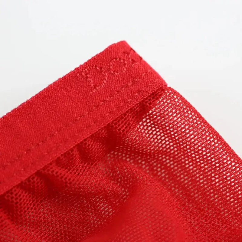 Semitransparent micro-mesh sheer fabric texture — lightweight breathable DomiGe briefs Red