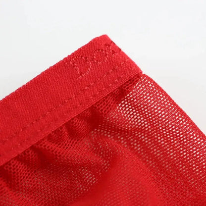 Semitransparent micro-mesh sheer fabric texture — lightweight breathable DomiGe briefs Red